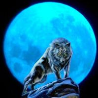 Les loup-garous 